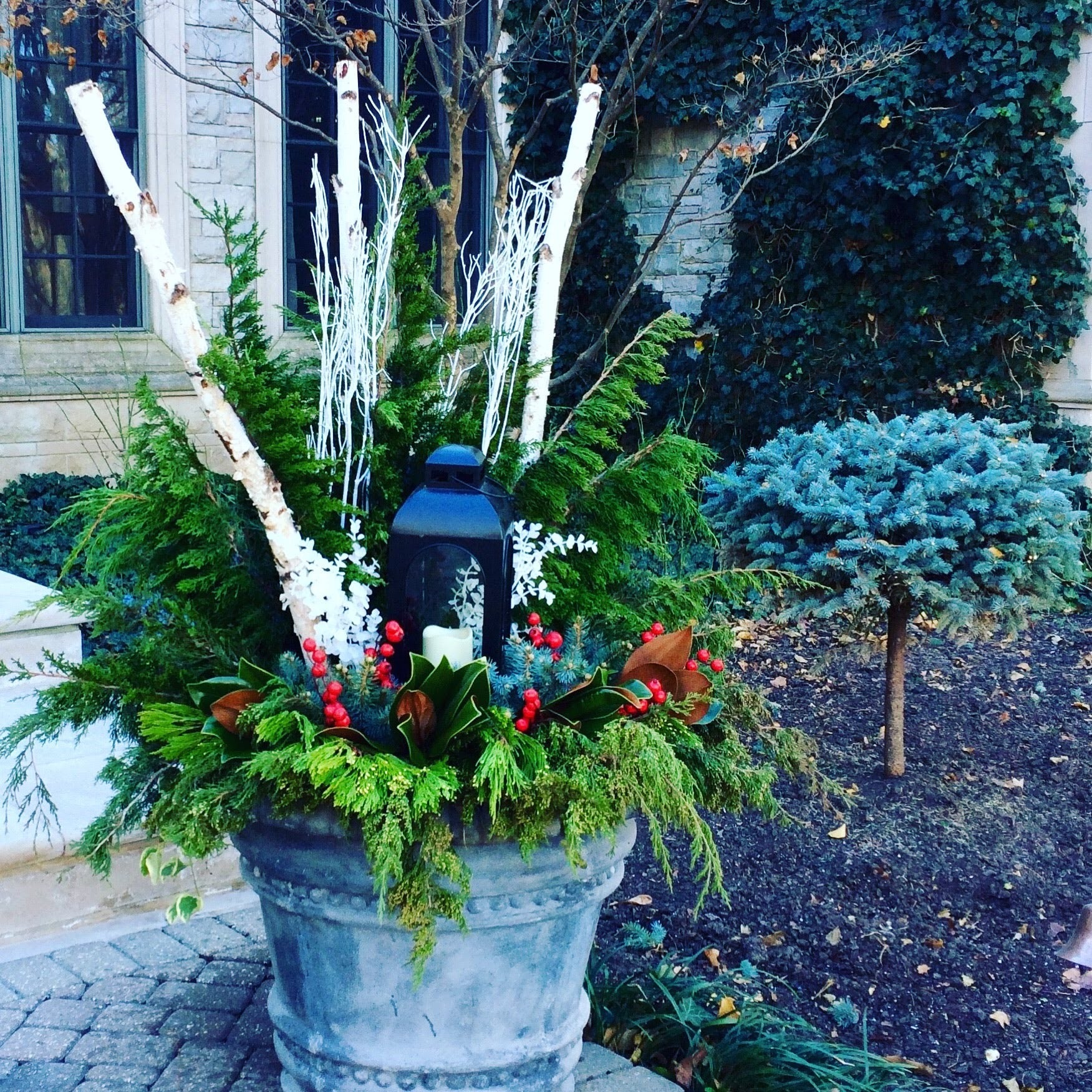 Winter Greenery Pots Installed | Branch and Bloom